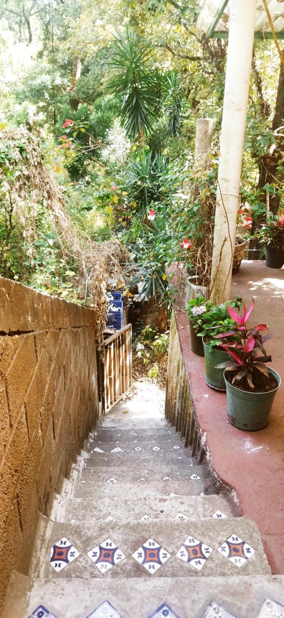 Casa Ecologica Apartment Tepoztlan Exterior photo