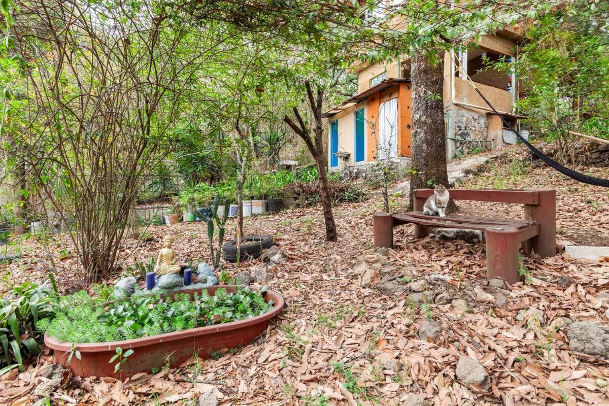 Casa Ecologica Apartment Tepoztlan Exterior photo